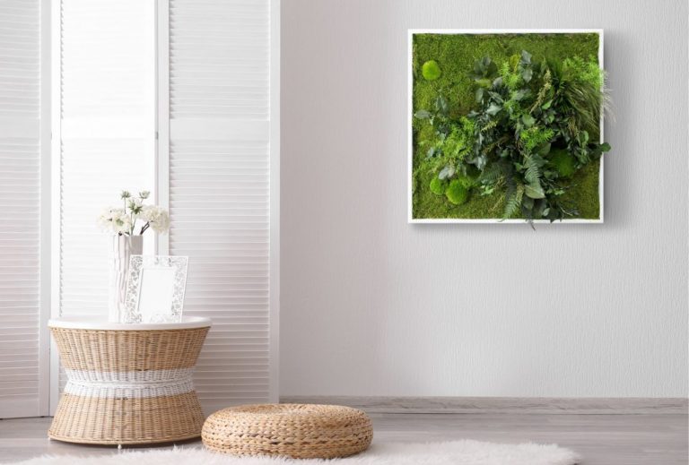 obraz z roślin na ścianie