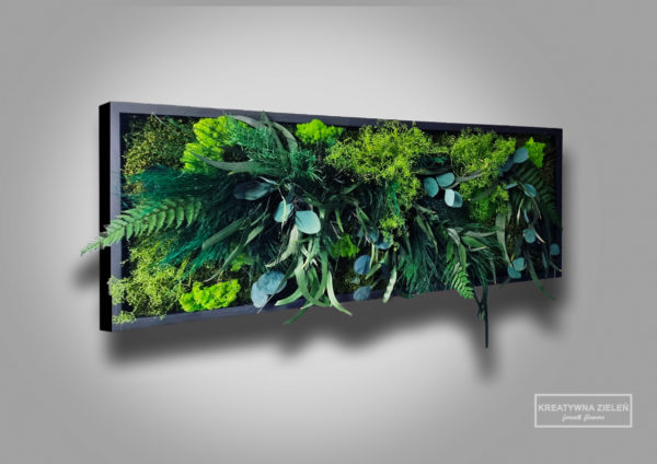 100x50 CREATIVEbotanika obraz z roslin stabilizowanych 600x424 - Obraz z roślin stabilizowanych Creative botanica
