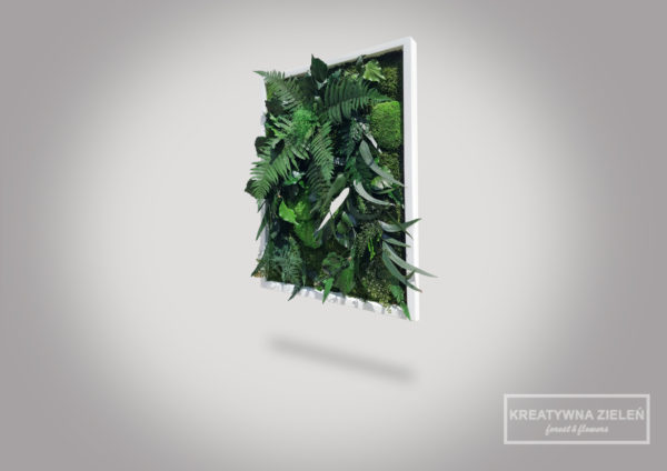 50 x70 obraz z roslin stabilizowanych widok 600x424 - Obraz z roślin stabilizowanych Creative botanica