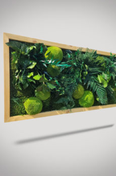 szary 1 1 230x350 - Obraz z roślin stabilizowanych Creative botanica