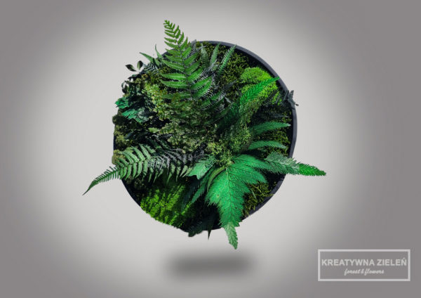 szary 05.05.2021 1 600x424 - Obraz-Koło kompozycja z roślin stabilizowanych Creative Botanica