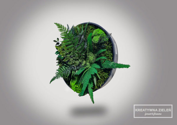 szary 05.05.2021 6 600x424 - Obraz-Koło kompozycja z roślin stabilizowanych Creative Botanica