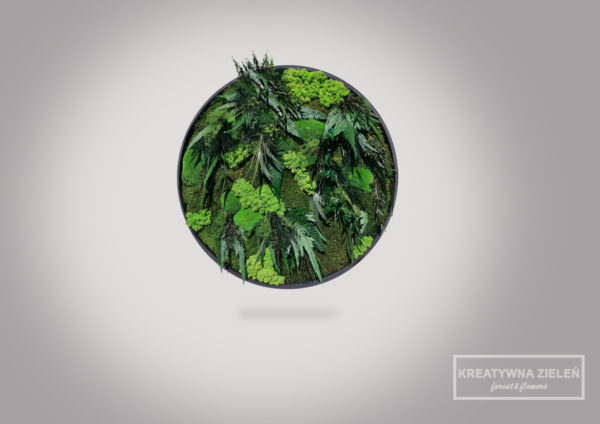 szary 1 3 600x424 - Obraz-Koło kompozycja z roślin stabilizowanych Creative Botanica
