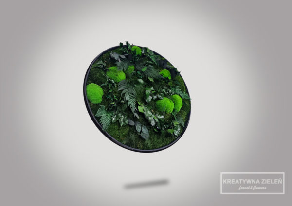 szary 2 1 600x424 - Obraz-Koło kompozycja z roślin stabilizowanych Creative Botanica