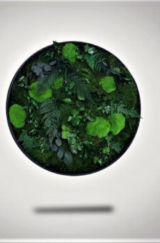 szary 3 230x350 - Obraz-Koło kompozycja z roślin stabilizowanych Creative Botanica