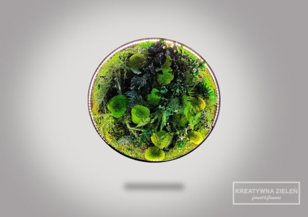 Obraz-LED-Koło kompozycja z roślin stabilizowanych Creative Botanica