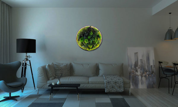 Obraz-LED-Koło kompozycja z roślin stabilizowanych Creative Botanica