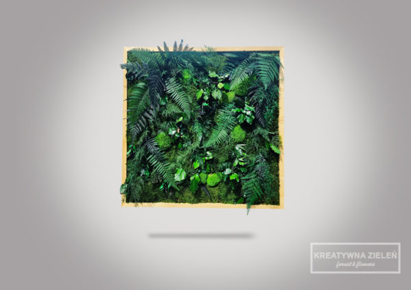 Obraz z roślin stabilizowanych Creative botanica „Kwadrat”